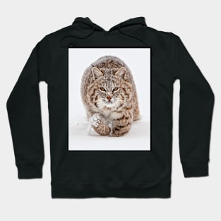 Bobcat Running Forward Hoodie